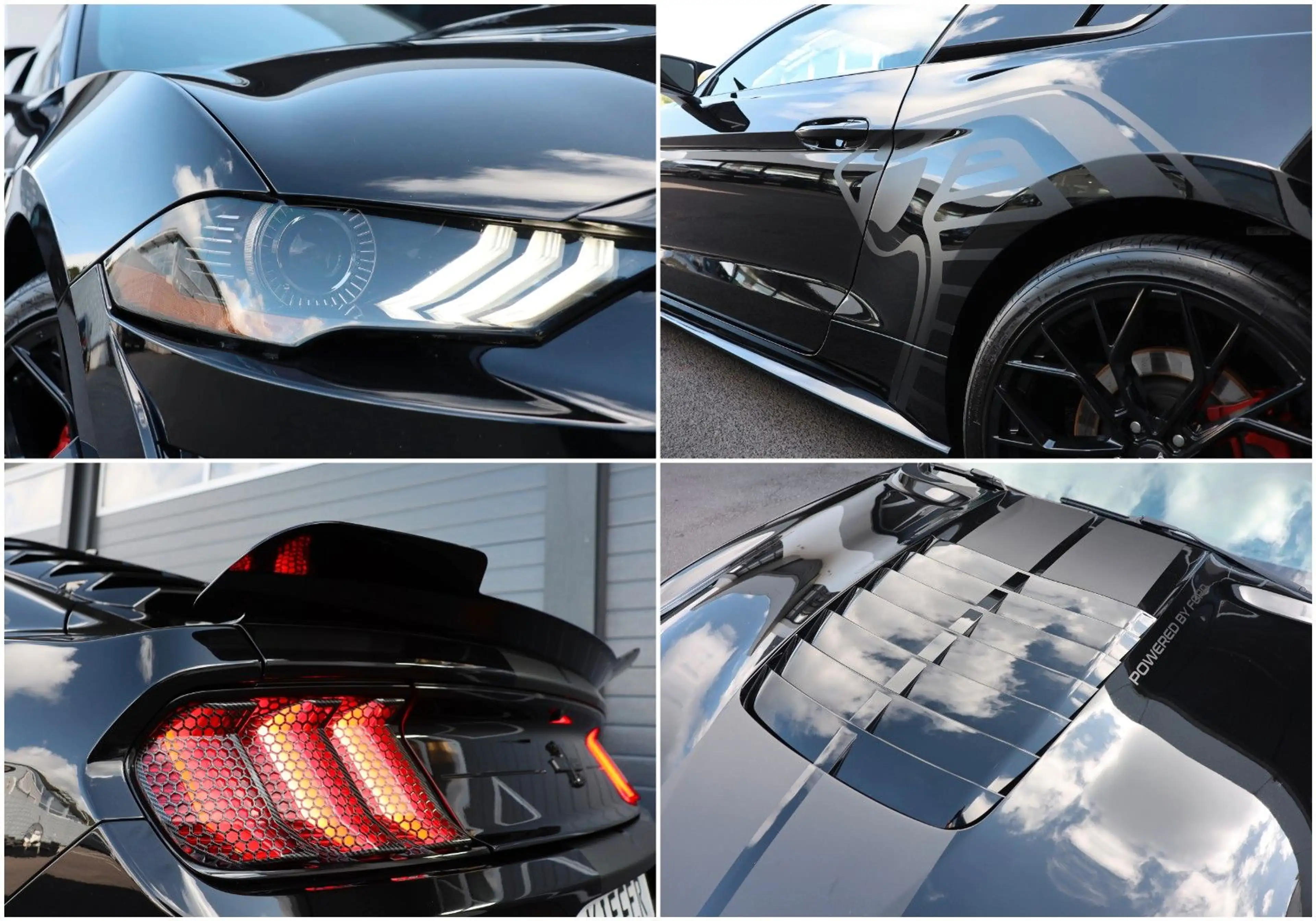 Ford Mustang 5.0 GT/RECARO/SHZ/TOTW/KAMERA/SPUR/R20 — photo 10