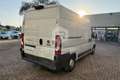 Fiat Ducato Ducato 35 2.3 MJT 130CV PM-TM Furgone Weiß - thumbnail 5