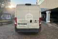 Fiat Ducato Ducato 35 2.3 MJT 130CV PM-TM Furgone Weiß - thumbnail 6