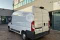Fiat Ducato Ducato 35 2.3 MJT 130CV PM-TM Furgone Weiß - thumbnail 7