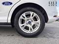 Ford B-Max 1.4 90ch Edition Blanc - thumbnail 13