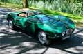 Bristol Sonstige Arnold Bolide roadster S0013 - M1235 Grün - thumbnail 33