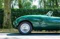 Bristol Sonstige Arnold Bolide roadster S0013 - M1235 Grün - thumbnail 2