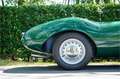 Bristol Sonstige Arnold Bolide roadster S0013 - M1235 Grün - thumbnail 8