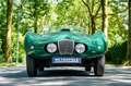 Bristol Sonstige Arnold Bolide roadster S0013 - M1235 Grün - thumbnail 12