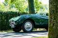 Bristol Sonstige Arnold Bolide roadster S0013 - M1235 Grün - thumbnail 36
