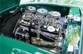 Bristol Sonstige Arnold Bolide roadster S0013 - M1235 Grün - thumbnail 26