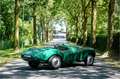 Bristol Sonstige Arnold Bolide roadster S0013 - M1235 Grün - thumbnail 7