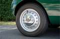 Bristol Sonstige Arnold Bolide roadster S0013 - M1235 Grün - thumbnail 11