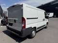 Peugeot Boxer II 2.0 BlueHDi 110ch Combi 330 L1H1 Access S&S 2pl Weiß - thumbnail 6