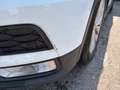 Volkswagen Tiguan 2,0 TDI SCR Comfortline Weiß - thumbnail 33