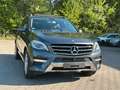 Mercedes-Benz ML 350 CDI BlueTec Leder*Panorama*360-Grad* Gri - thumbnail 6