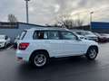 Mercedes-Benz GLK 220 CDI *NAVI*TEMP*SITZH* Weiß - thumbnail 11