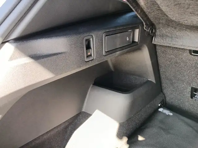 Volkswagen Tiguan R-Line TDI 4MOTION DSG Ansicht 15