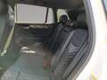 Volkswagen Tiguan R-Line TDI 4MOTION DSG Weiß - thumbnail 13