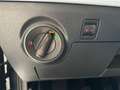 SEAT Ibiza TSI Style Navi+virtCP+ACC+Kamera+Winter+PDC+Privac Grau - thumbnail 19
