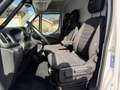 Iveco Daily 35S16 3520, Ahk, Temomat, Aut., Alu, ... Weiß - thumbnail 12