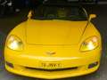Corvette C6 Convertible Corvette C6 2004 Convertibile Cabrio 6.0 V8 auto Yellow - thumbnail 1