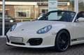 Porsche Boxster Spyder | Handgeschakeld | PTS Cremewit | volledige Blanc - thumbnail 32