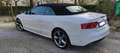 Audi A5 Audi A5 Cabrio 2.0 TDI 190 CV Quattro S line Bianco - thumbnail 5