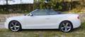 Audi A5 Audi A5 Cabrio 2.0 TDI 190 CV Quattro S line Bianco - thumbnail 6