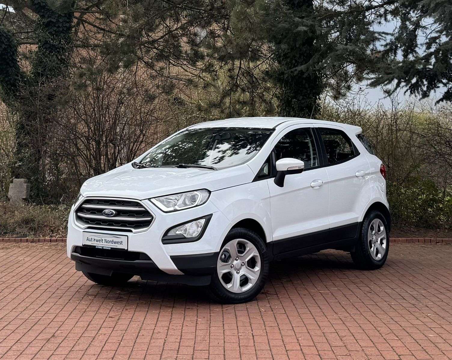 Second hand Ford Ecosport 1.0