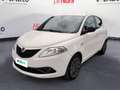 Lancia Ypsilon 1.2 69 CV 5 porte GPL Ecochic Gold Bianco - thumbnail 1