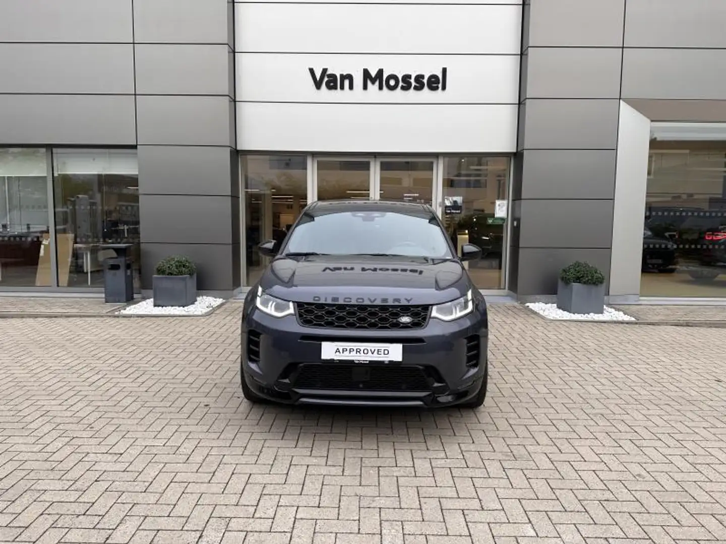 Land Rover Discovery Sport Discovery Sport P270e Dynamic 25MY Bleu - 2