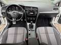 Volkswagen Golf 2.0 TDI  ALLSTAR Variant Weiß - thumbnail 5