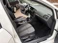 Volkswagen Golf 2.0 TDI  ALLSTAR Variant Weiß - thumbnail 15