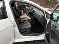 Volkswagen Golf 2.0 TDI  ALLSTAR Variant Weiß - thumbnail 16