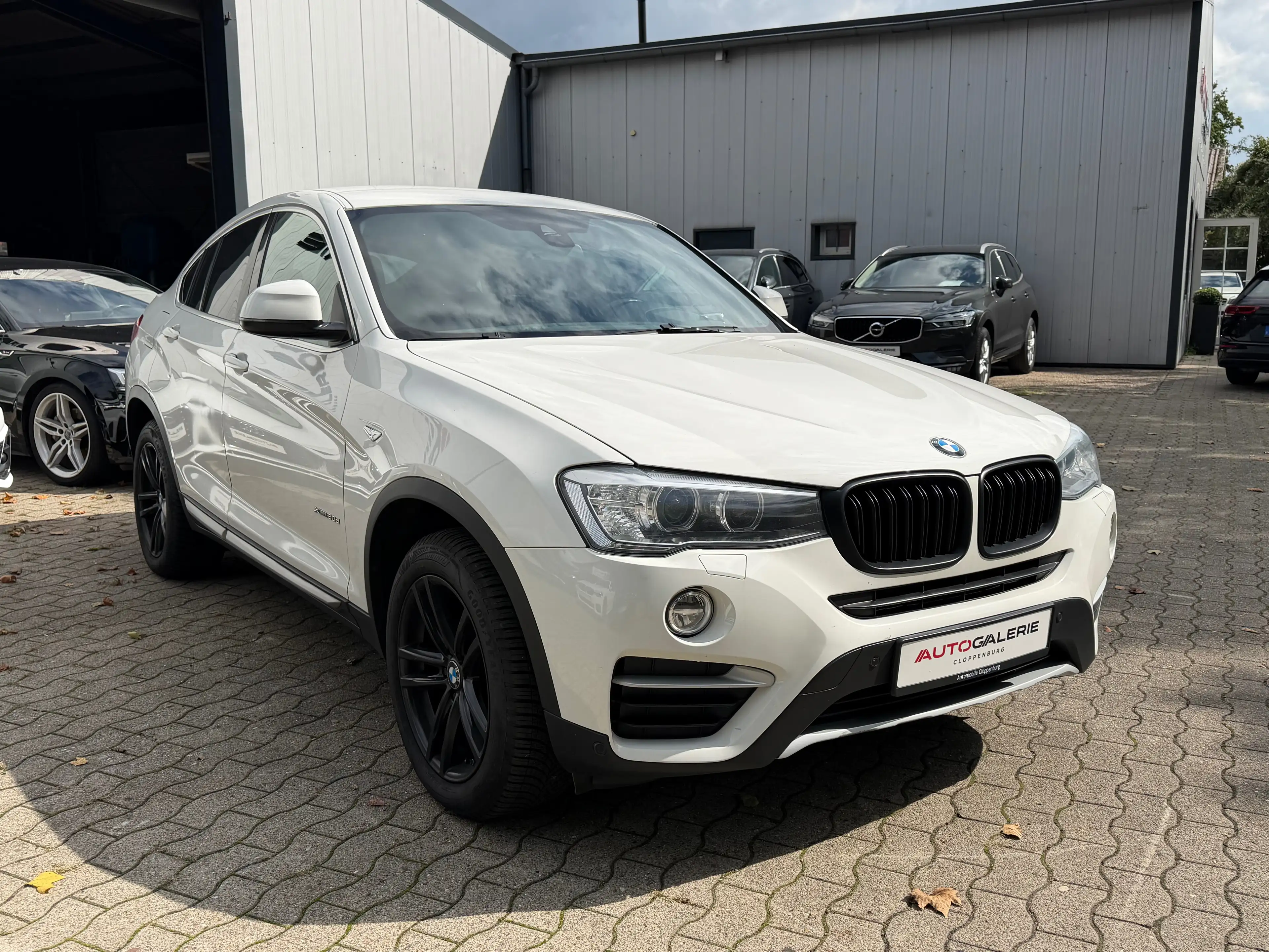 BMW X4 xDrive 20d Steptronic "xLine" — photo 3