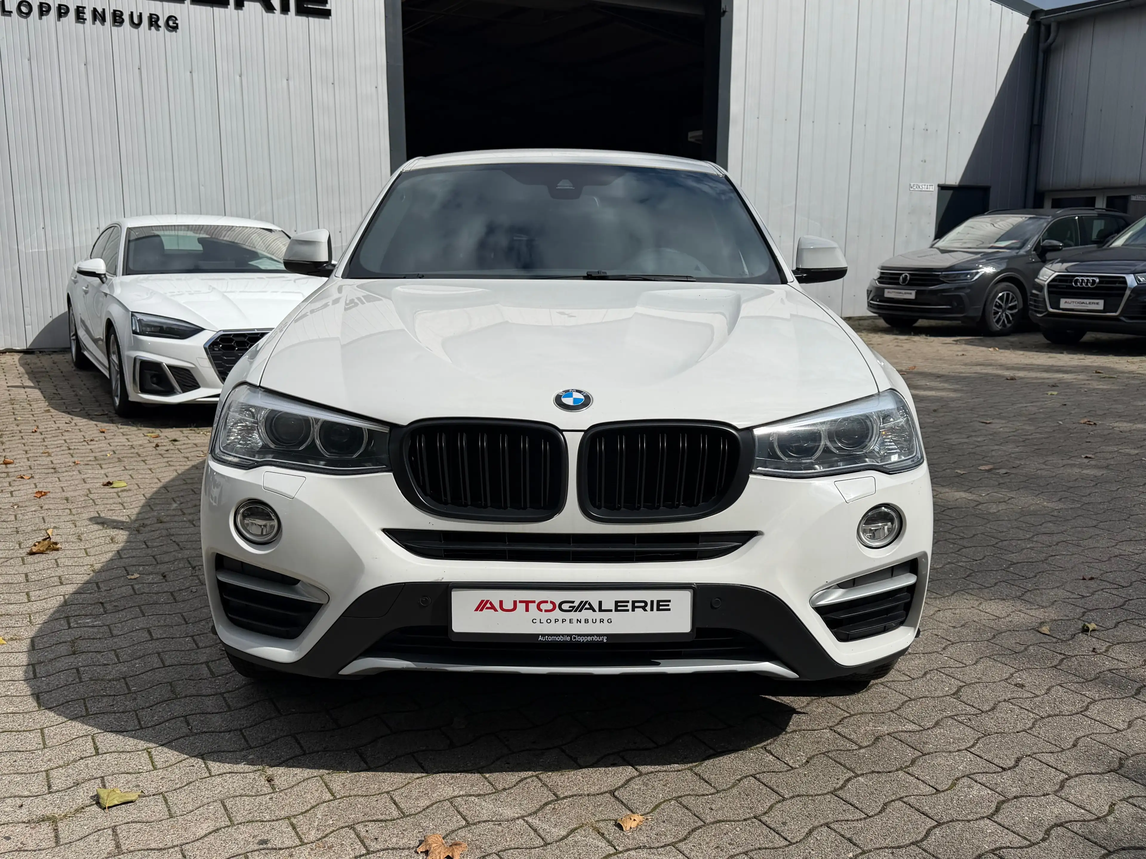 BMW X4 xDrive 20d Steptronic "xLine" — photo 2