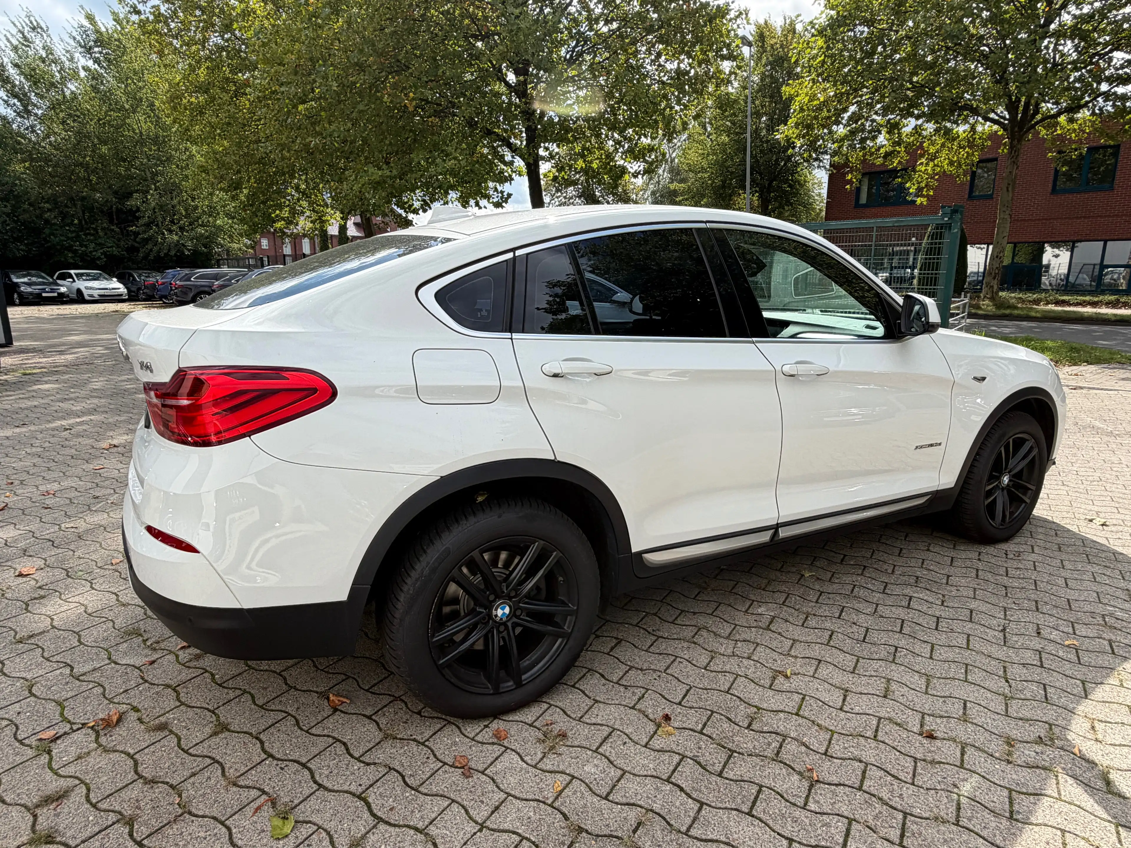 BMW X4 xDrive 20d Steptronic "xLine" — photo 6