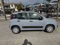 Fiat Panda 1.0 firefly hybrid City Life s&s 70cv Grigio - thumbnail 3
