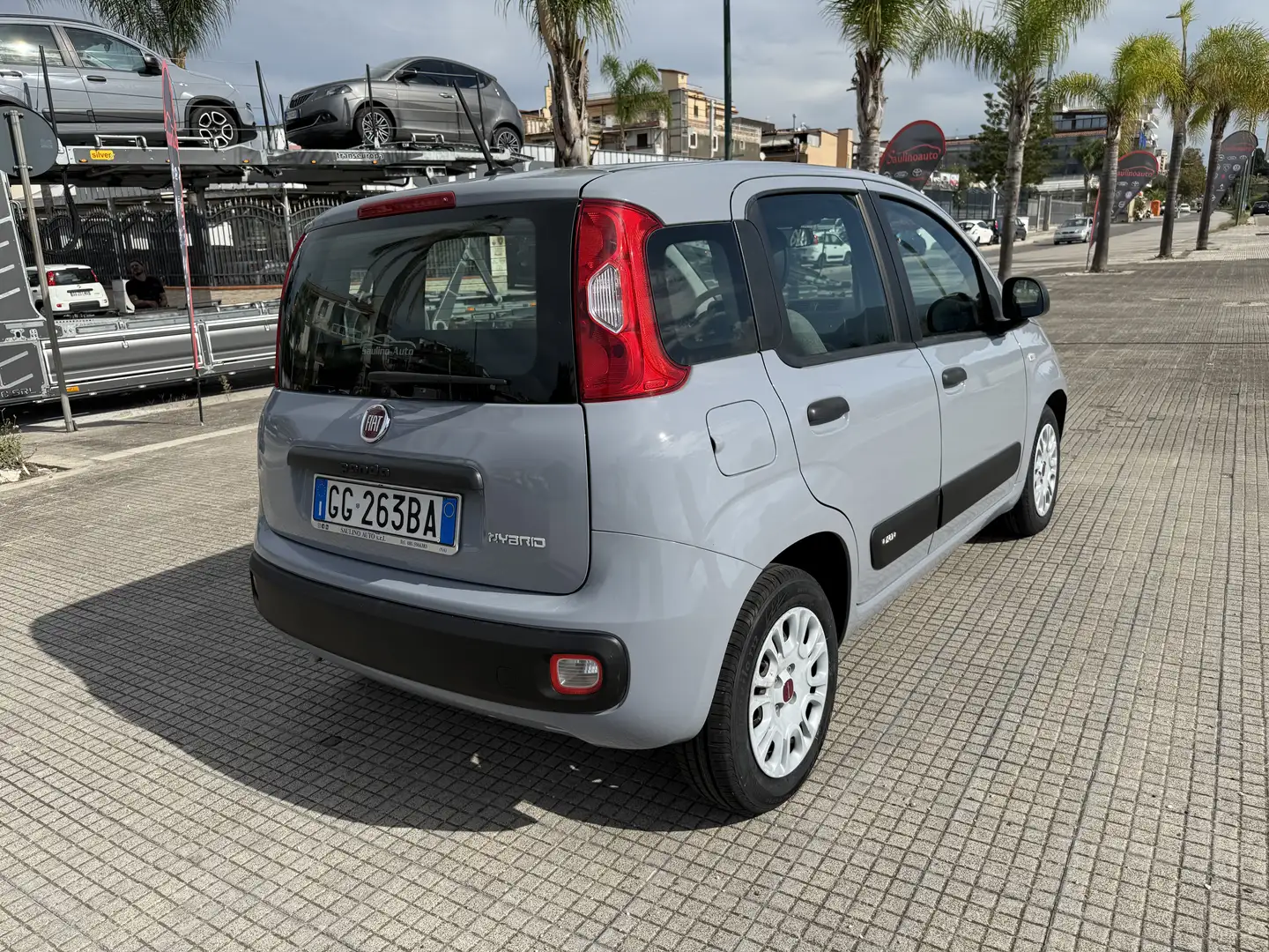Fiat Panda 1.0 firefly hybrid City Life s&s 70cv Grigio - 2
