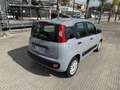Fiat Panda 1.0 firefly hybrid City Life s&s 70cv Grigio - thumbnail 5