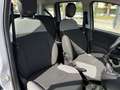 Fiat Panda 1.0 firefly hybrid City Life s&s 70cv Grigio - thumbnail 11
