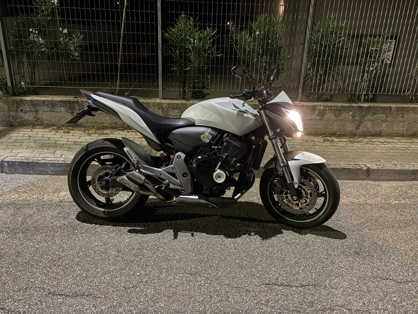Honda Hornet Bianco - 1