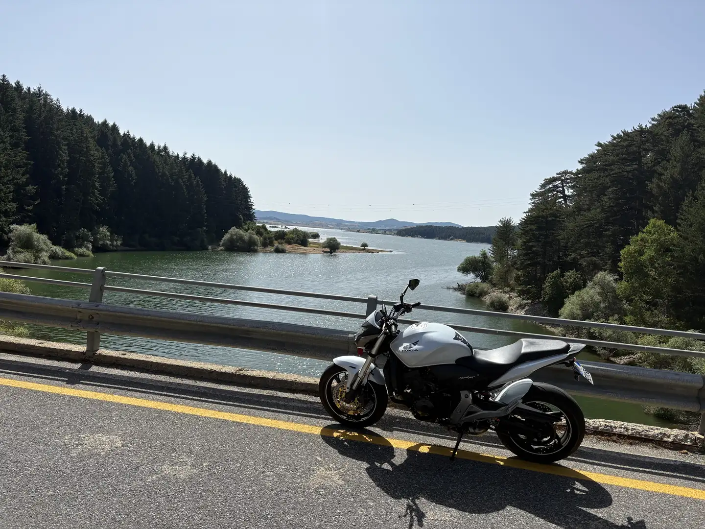 Honda Hornet Bianco - 2