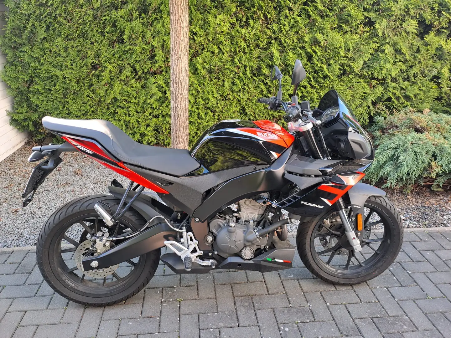 Aprilia Tuono - 1