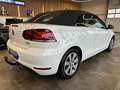 Volkswagen Golf VI Cabriolet Basis *2. Hand*Klima*SHZ*Navi* Blanc - thumbnail 5