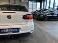 Volkswagen Golf VI Cabriolet Basis *2. Hand*Klima*SHZ*Navi* Blanc - thumbnail 6