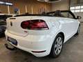 Volkswagen Golf VI Cabriolet Basis *2. Hand*Klima*SHZ*Navi* Blanc - thumbnail 28