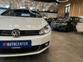Volkswagen Golf VI Cabriolet Basis *2. Hand*Klima*SHZ*Navi* Blanc - thumbnail 3