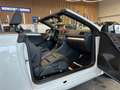 Volkswagen Golf VI Cabriolet Basis *2. Hand*Klima*SHZ*Navi* Blanc - thumbnail 50