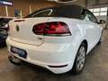 Volkswagen Golf VI Cabriolet Basis *2. Hand*Klima*SHZ*Navi* Blanc - thumbnail 16