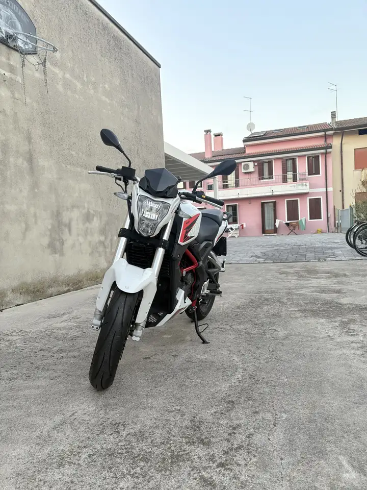 Benelli BN 251
