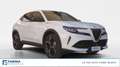 Alfa Romeo Junior 1.2 Hybrid ibrida Speciale Bianco - thumbnail 2