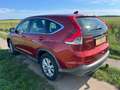 Honda CR-V CR-V 2.2i DTEC 4WD Automatik Comfort Rot - thumbnail 8